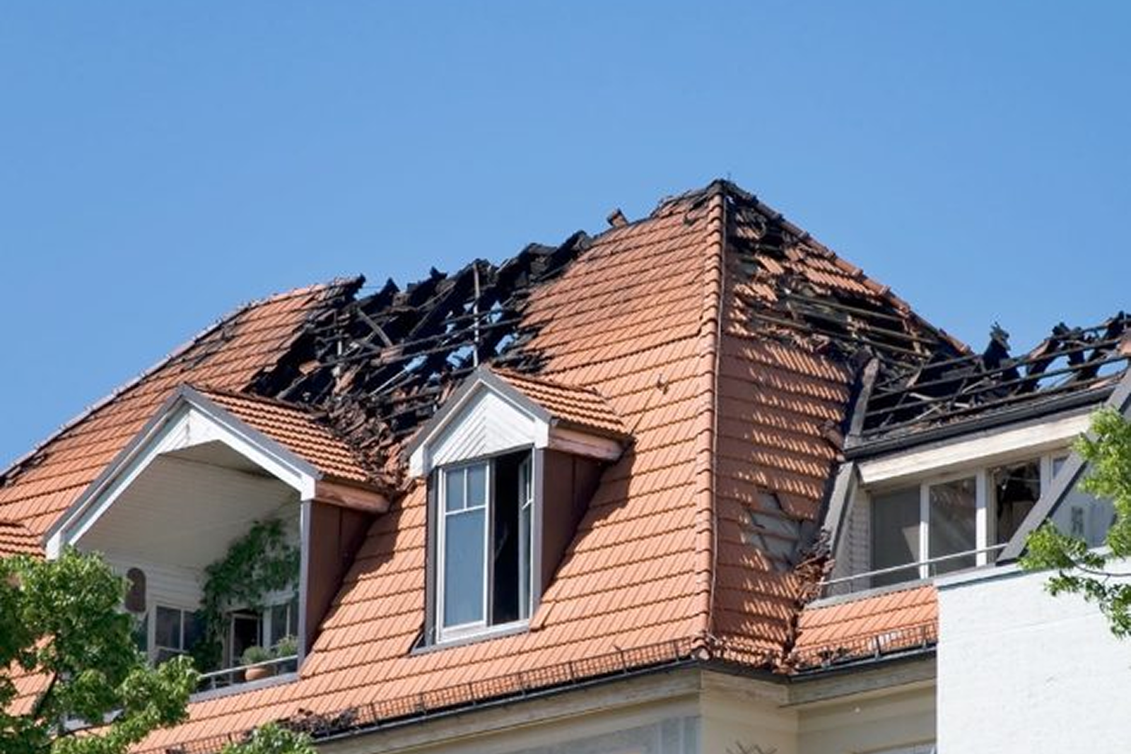 Fire Restoration Projects